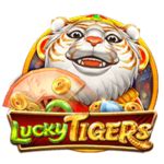 CC6 Slots: Enjoy Thrilling Slot Games and Win Big Rewards.